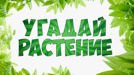 1753341024070.png