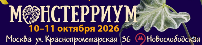 1789758909740.png