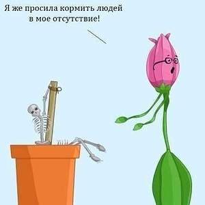 1752668701228.png